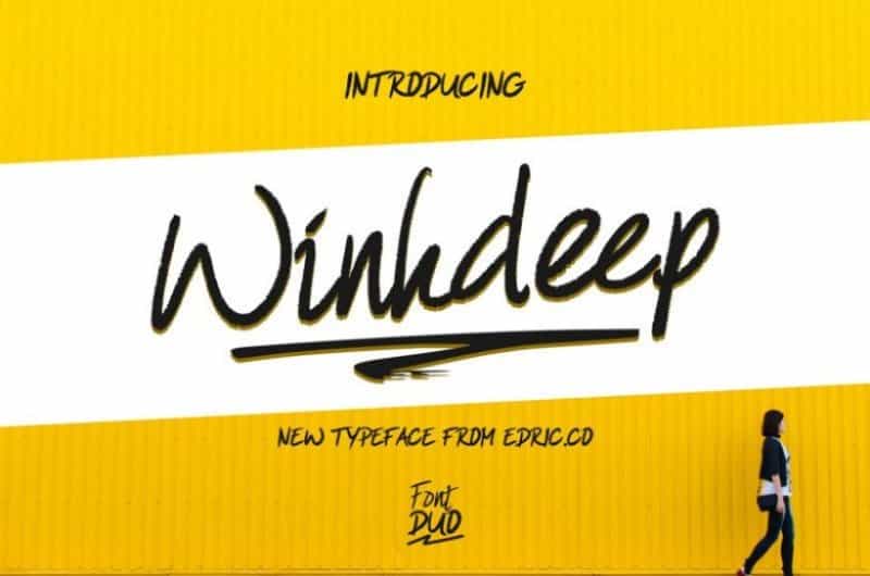 WinkDeep Script Font Duo Image 1