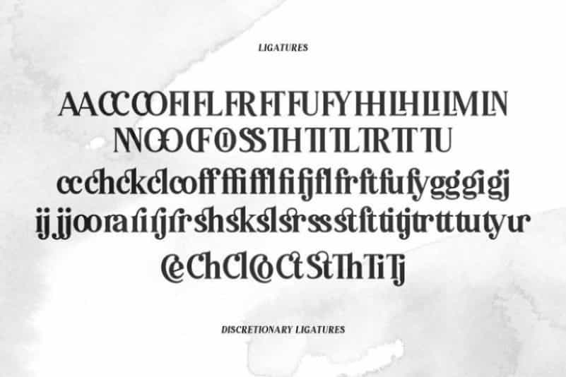 Pioggia Modern Serif Font Image 3