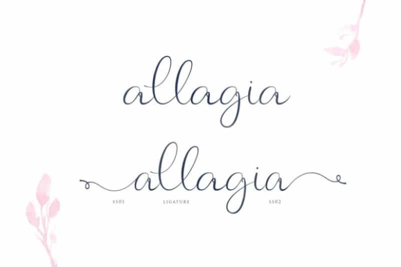 Allagia Script Font Image 2