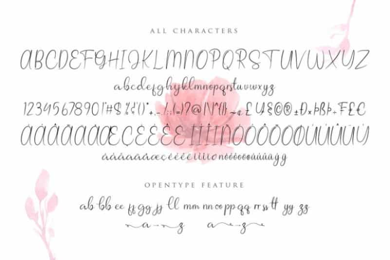 Allagia Script Font Image 3
