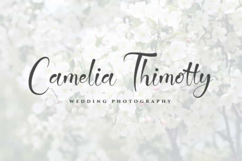 Jattestor Script Font Image 2