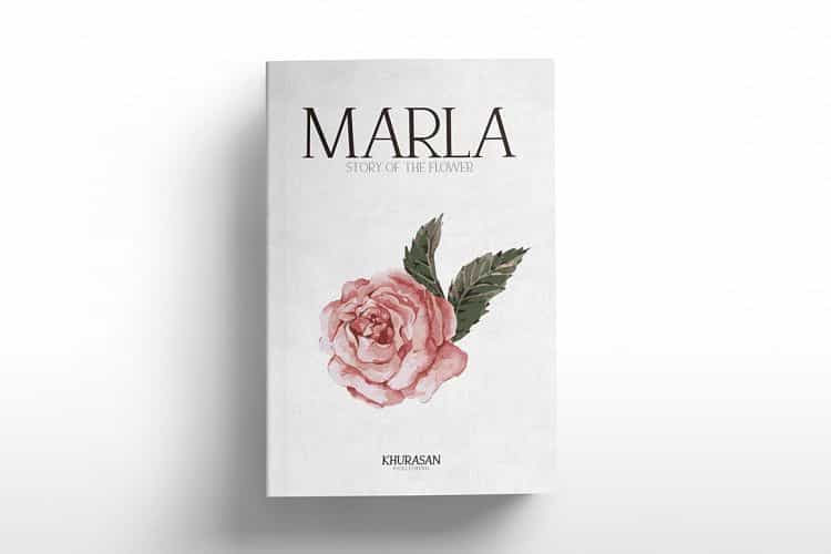 Recoba Font Family Image 2