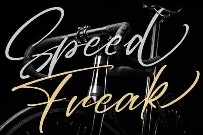 Bresley Clean Signature Font Image 3