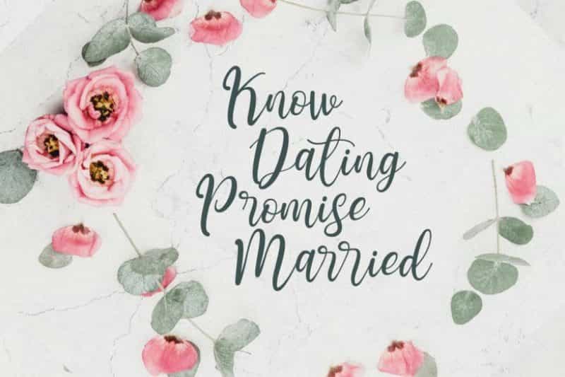 Teressia Script Font Image 2