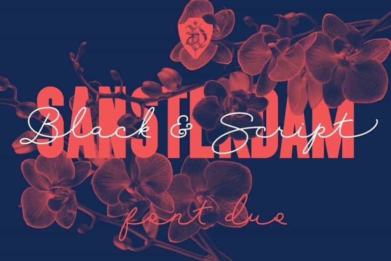 Sansterdam Black Font Image 1