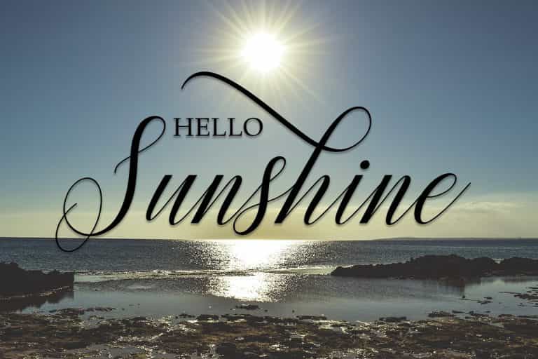 Princella Script Font Image 2
