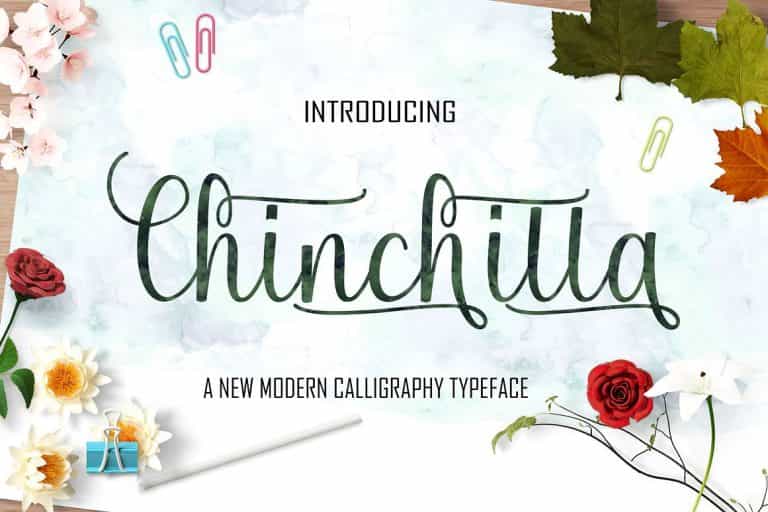 Chinchilla Script Font Image 1
