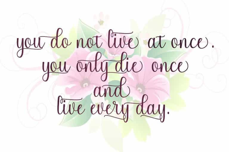 Chinchilla Script Font Image 2