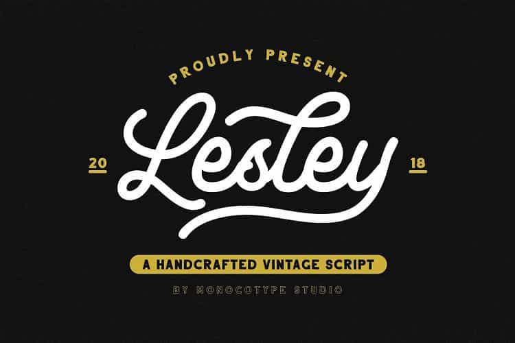 Lesley Monoline Script Font Image 1