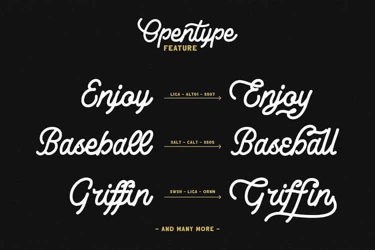 Lesley Monoline Script Font Image 2