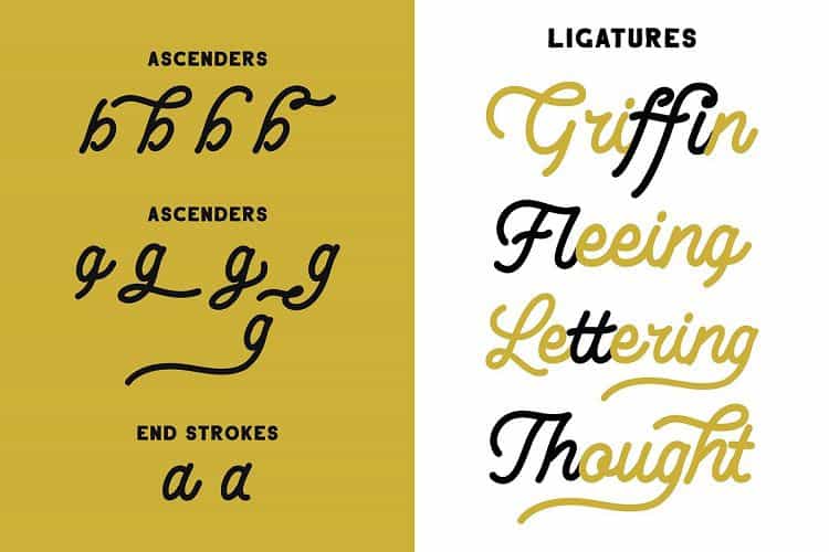 Lesley Monoline Script Font Image 3