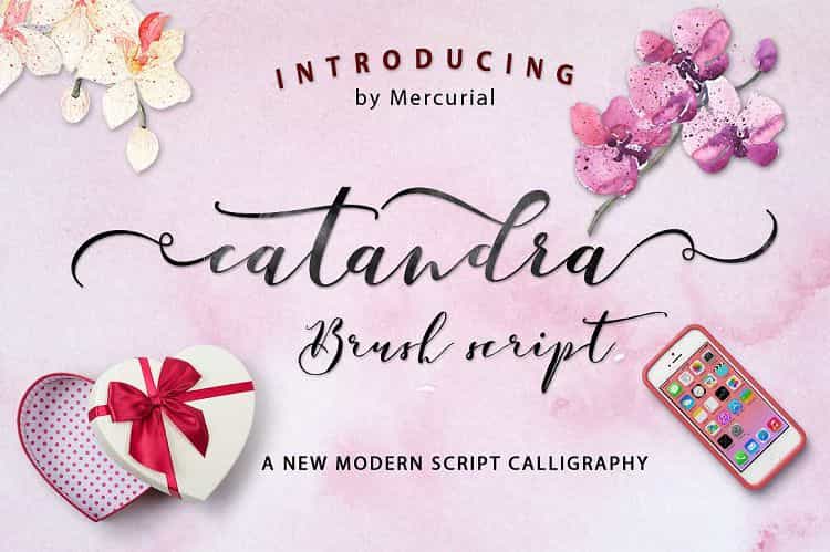 Catandra Brush Script Font Image 1