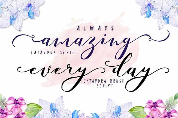 Catandra Brush Script Font Image 2