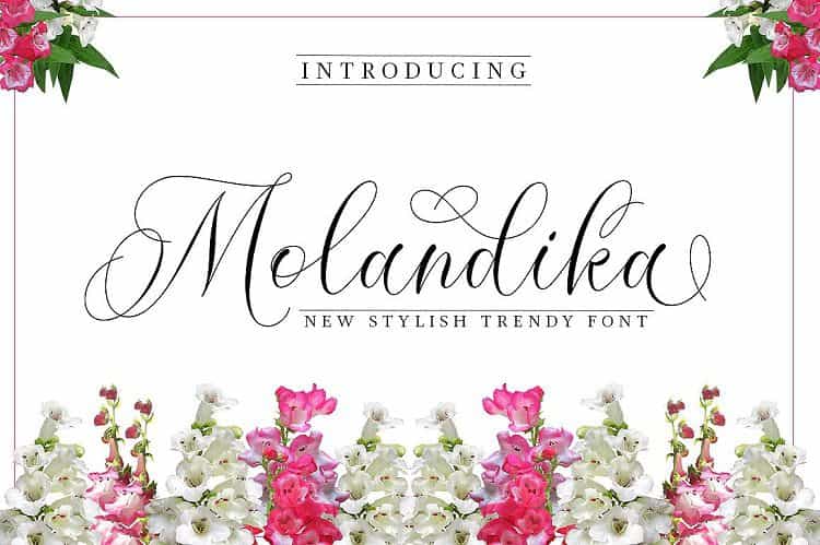 Molandika Calligraphy Font Image 1