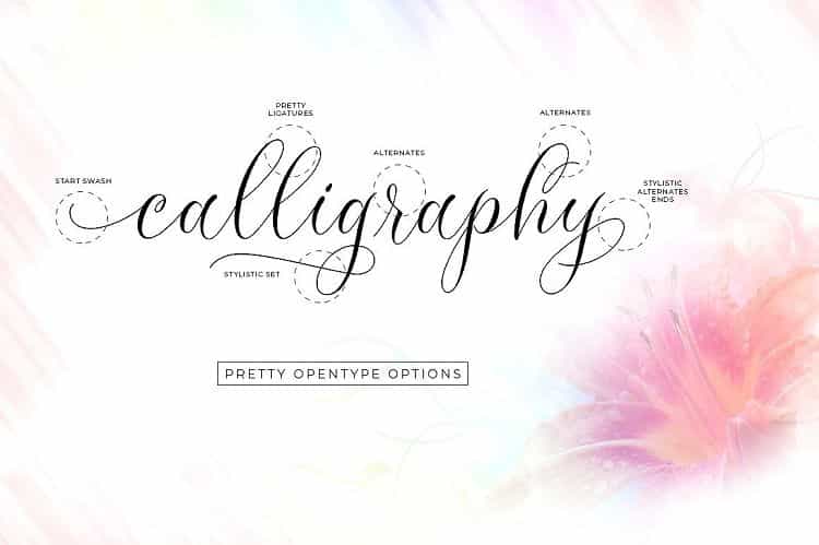 Molandika Calligraphy Font Image 2