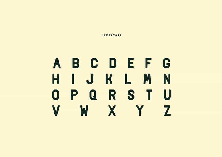 Delio Typeface Image 2