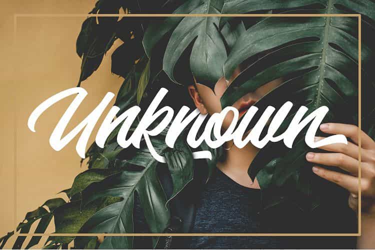 Backhill Bold Script Font Image 3