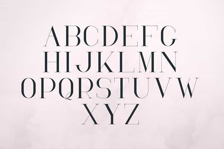 RoseGold Serif Font Image 3