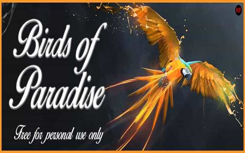 Birds of Paradise Font Image 1