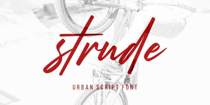 Strude Script Font Image 1
