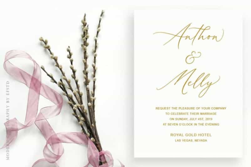 Aerotis Calligraphy Font Image 2