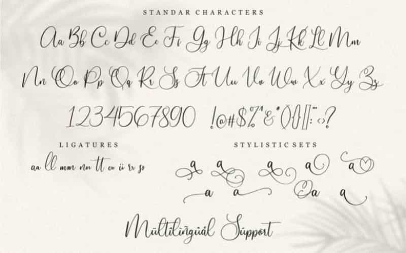 Slovenia Calligraphy Font Image 3