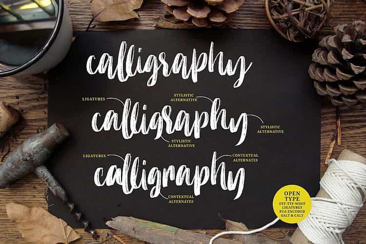 Molliquam Brush Font Image 2