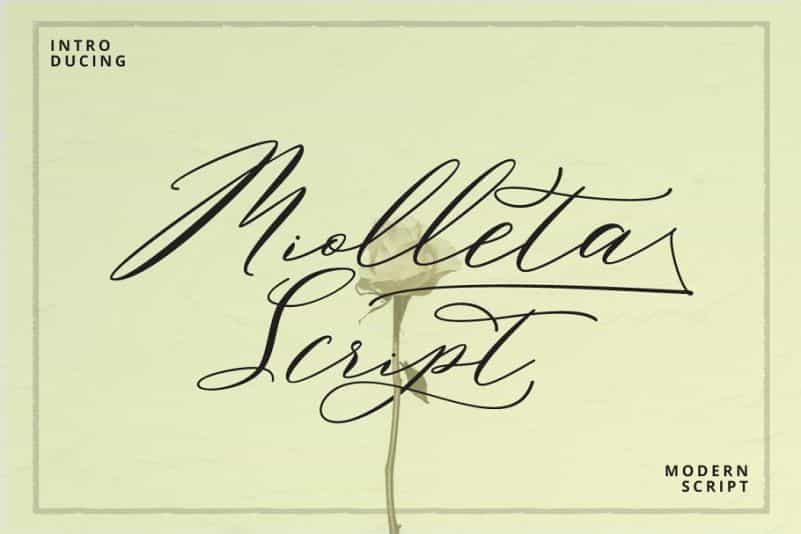 Miolleta Calligraphy Font Image 1