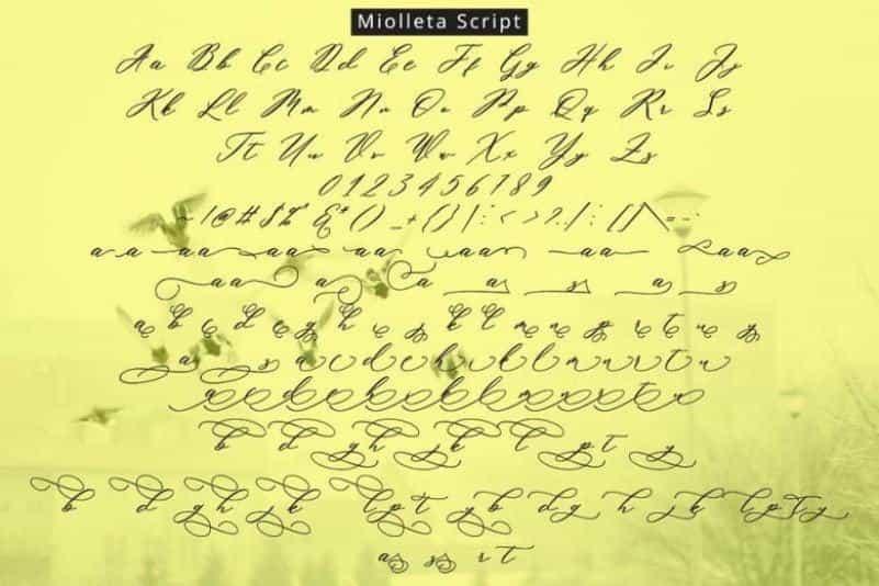 Miolleta Calligraphy Font Image 3