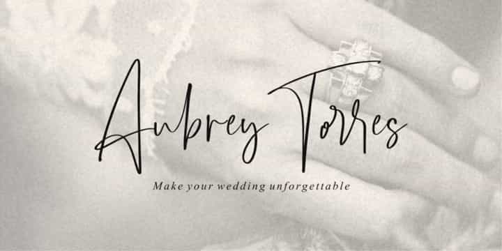 Barrington Calligraphy Font Image 3