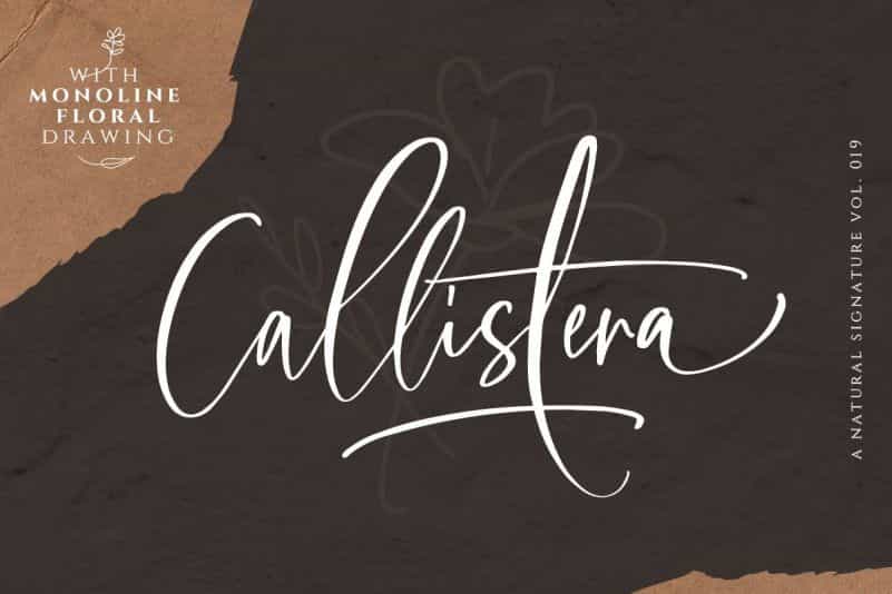 Callistera Script Font Image 1