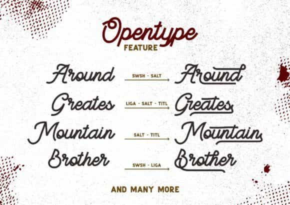 BeeQueen Script Font Image 3