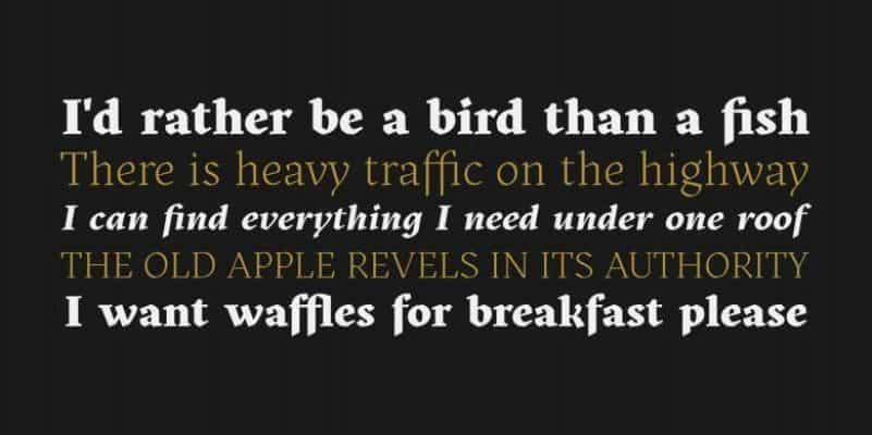 Kitsch Serif Font Family Image 3