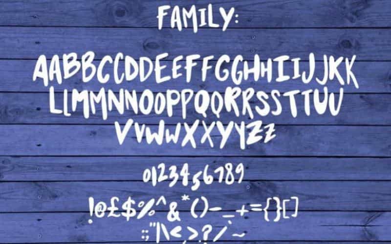 Garden Flower Script Font Image 3