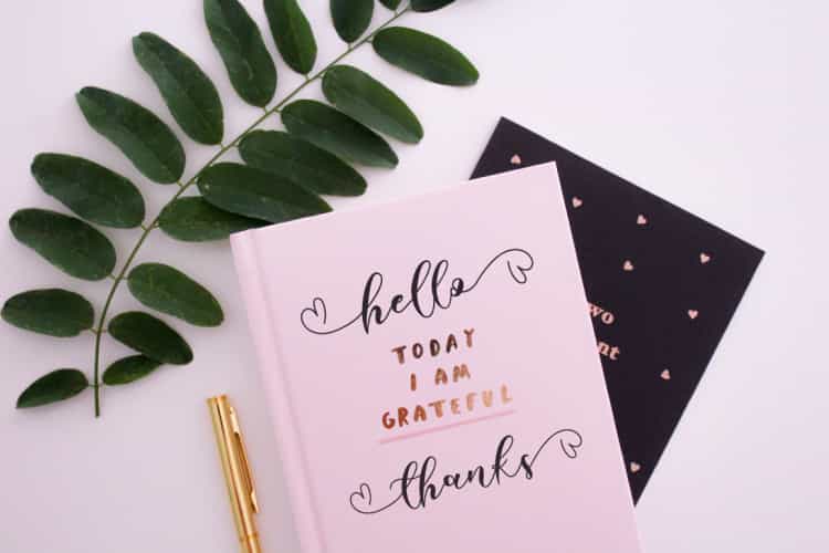 Laudiea Script Font Image 2