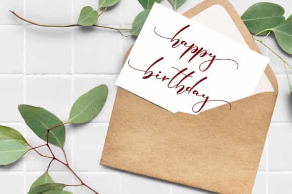 Elmira Calligraphy Font Image 3