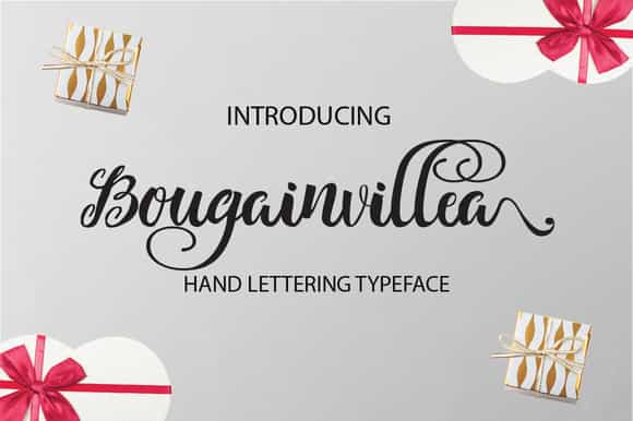 Bougainvillea Calligraphy Font Image 1