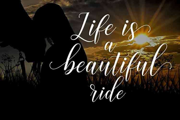 Histeria Script Font Image 2