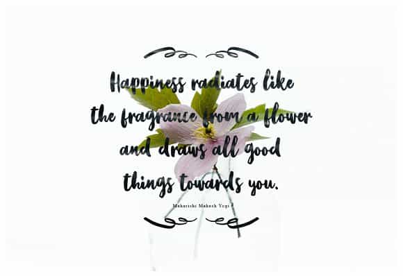 Kristale Brush Font Image 2