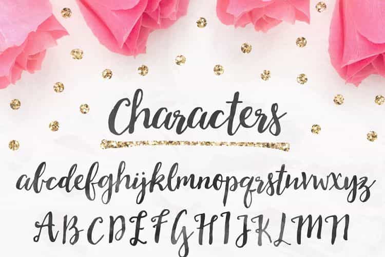 Soulmates Script Font Image 3