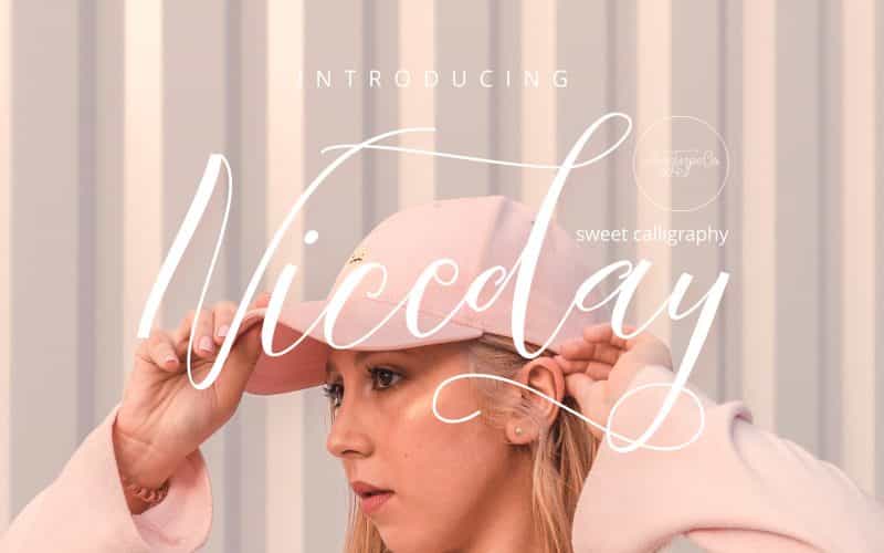 Niceday Script Font Image 1