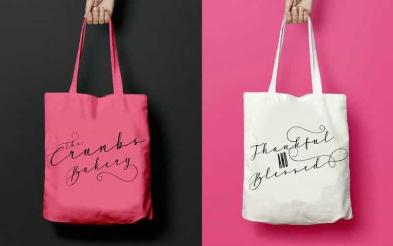 Lines Sans & Script Font Image 3