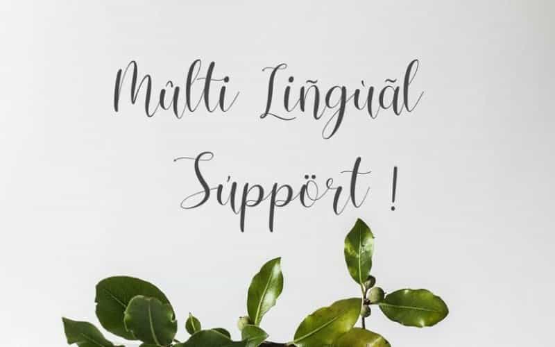 Vessia Script Font Image 3