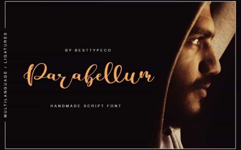 Parabellum Brush Font Image 1
