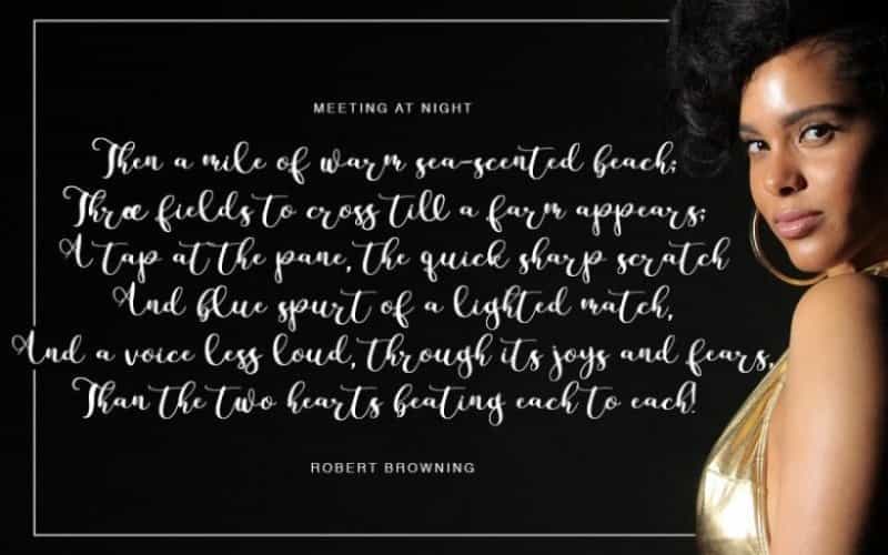 Parabellum Brush Font Image 2