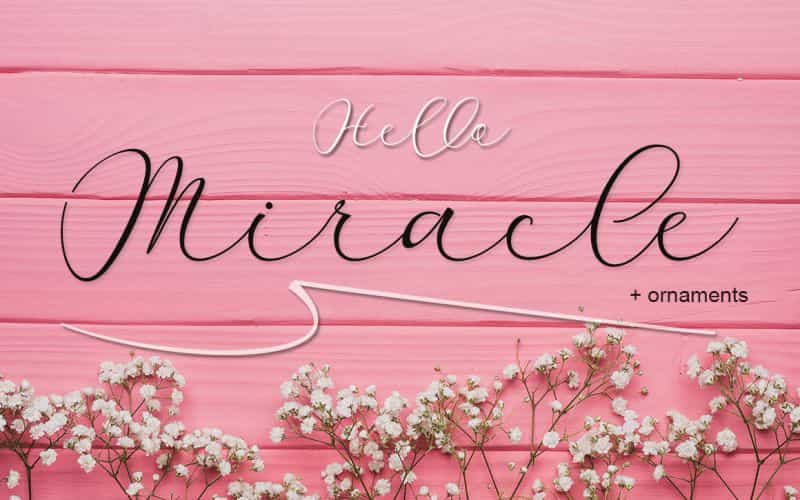 Miracle Script Font Image 1