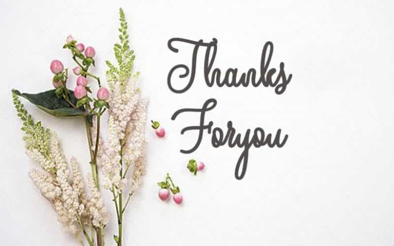 Andalan Script Font Image 3