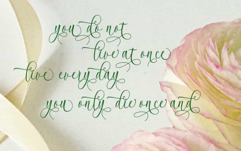 Acrobad Script Font Image 2