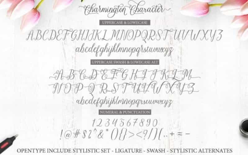 Charmington Script Font Image 3