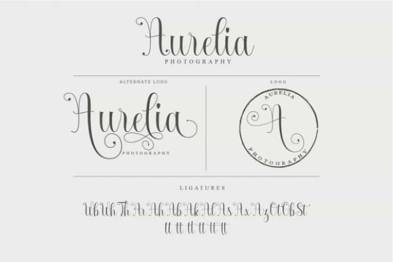 Armadilla Script Font Image 3